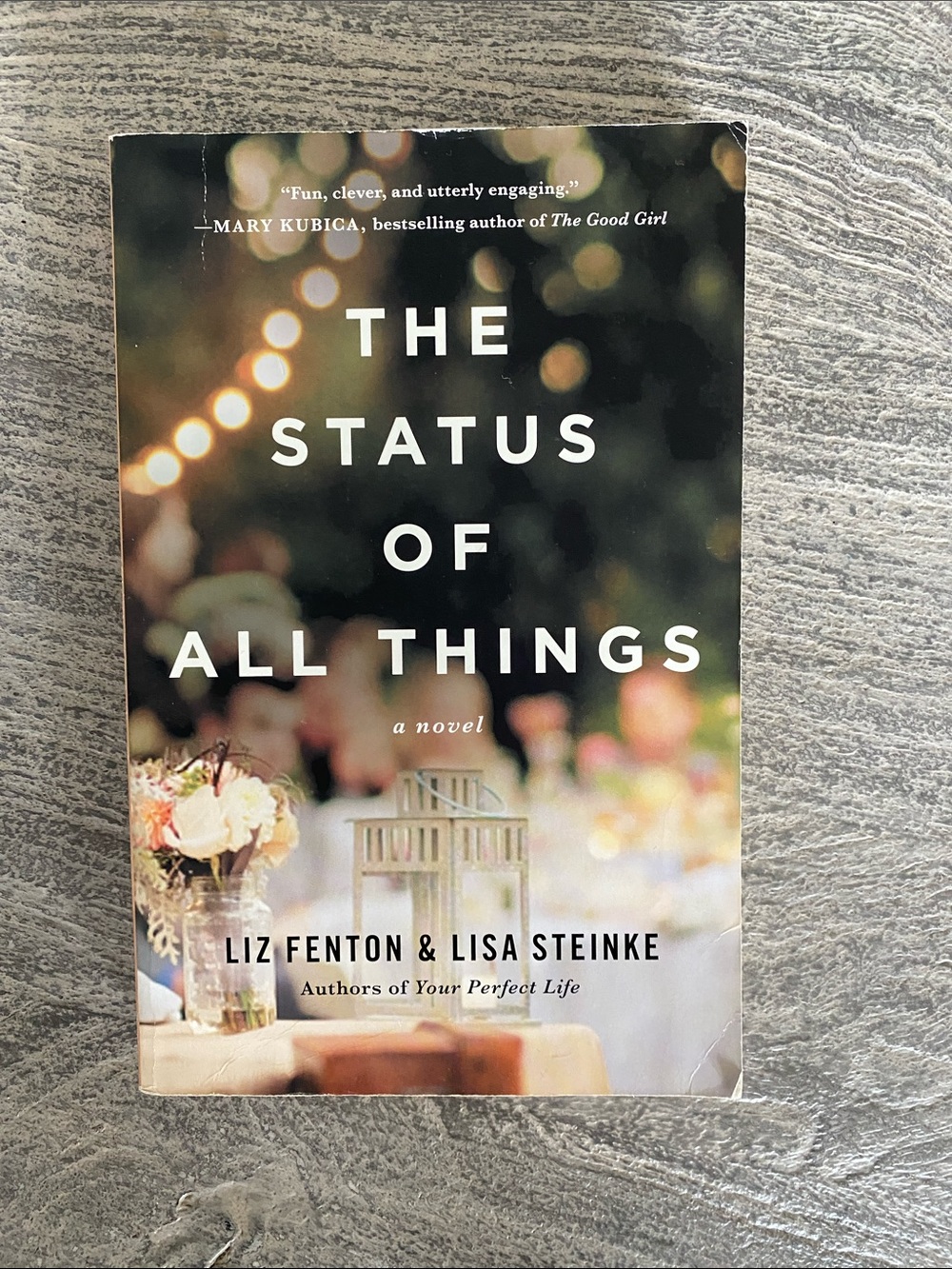The Status of All Things by Liz Fenton & Lisa Steinke
